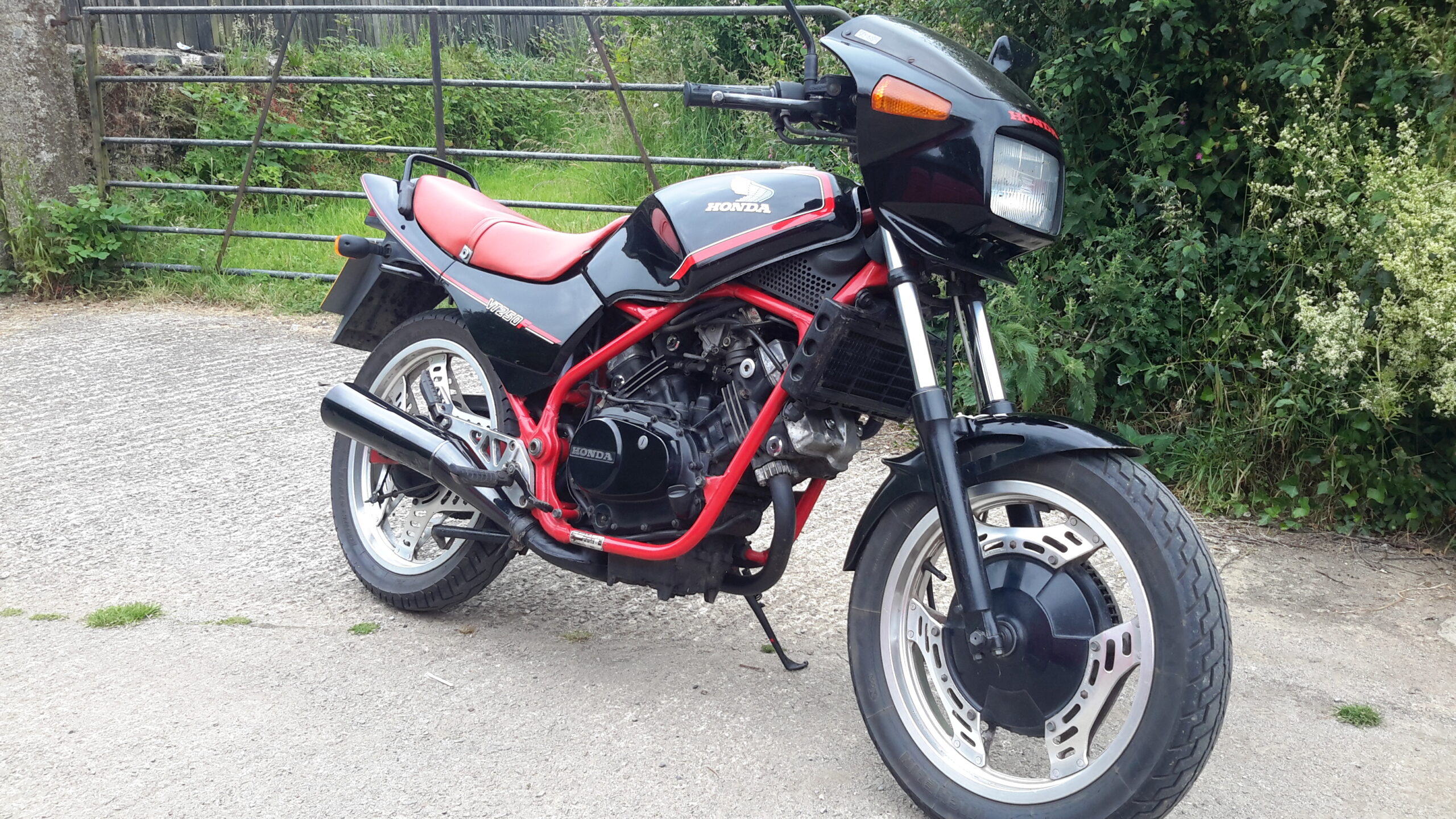 honda vt250f motorcycle