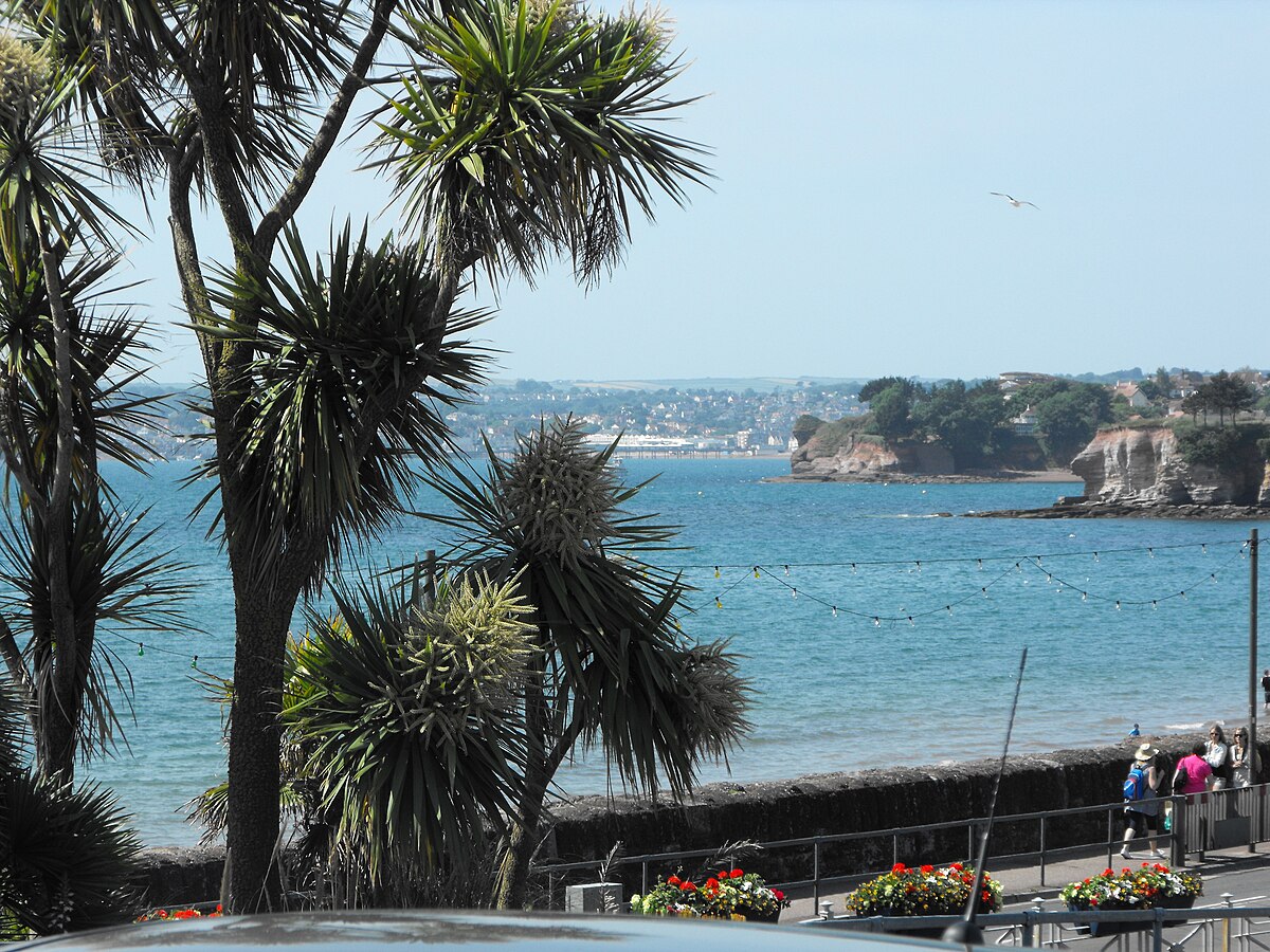 an image of torbay
